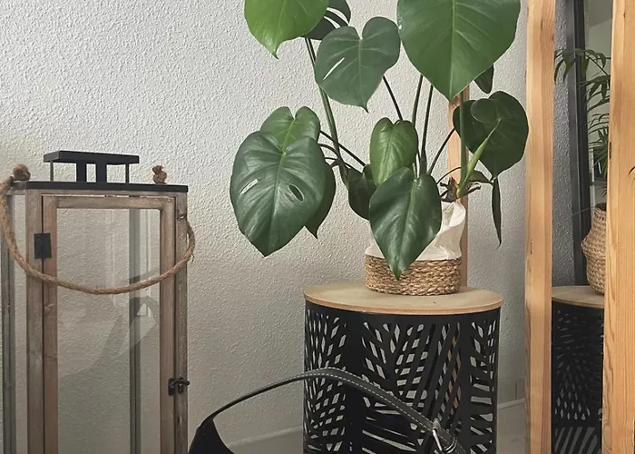 T2 Proche Du Quartier Historique Apartment