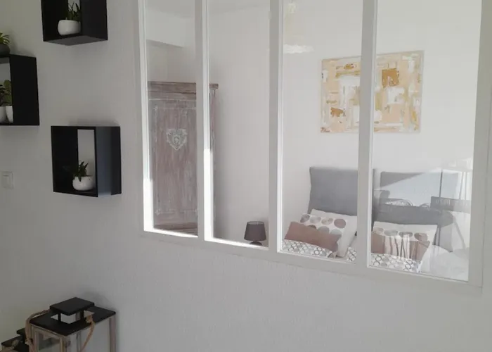 T2 Proche Du Quartier Historique Perigueux